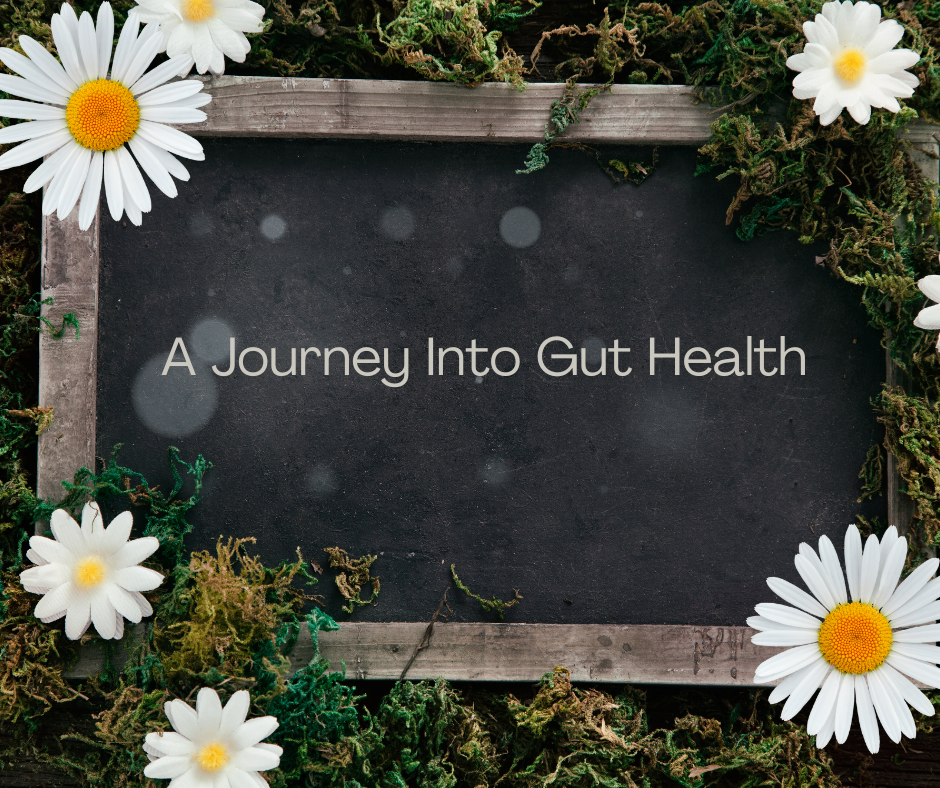 Unleashing the Power Within: A Journey into Gut Health